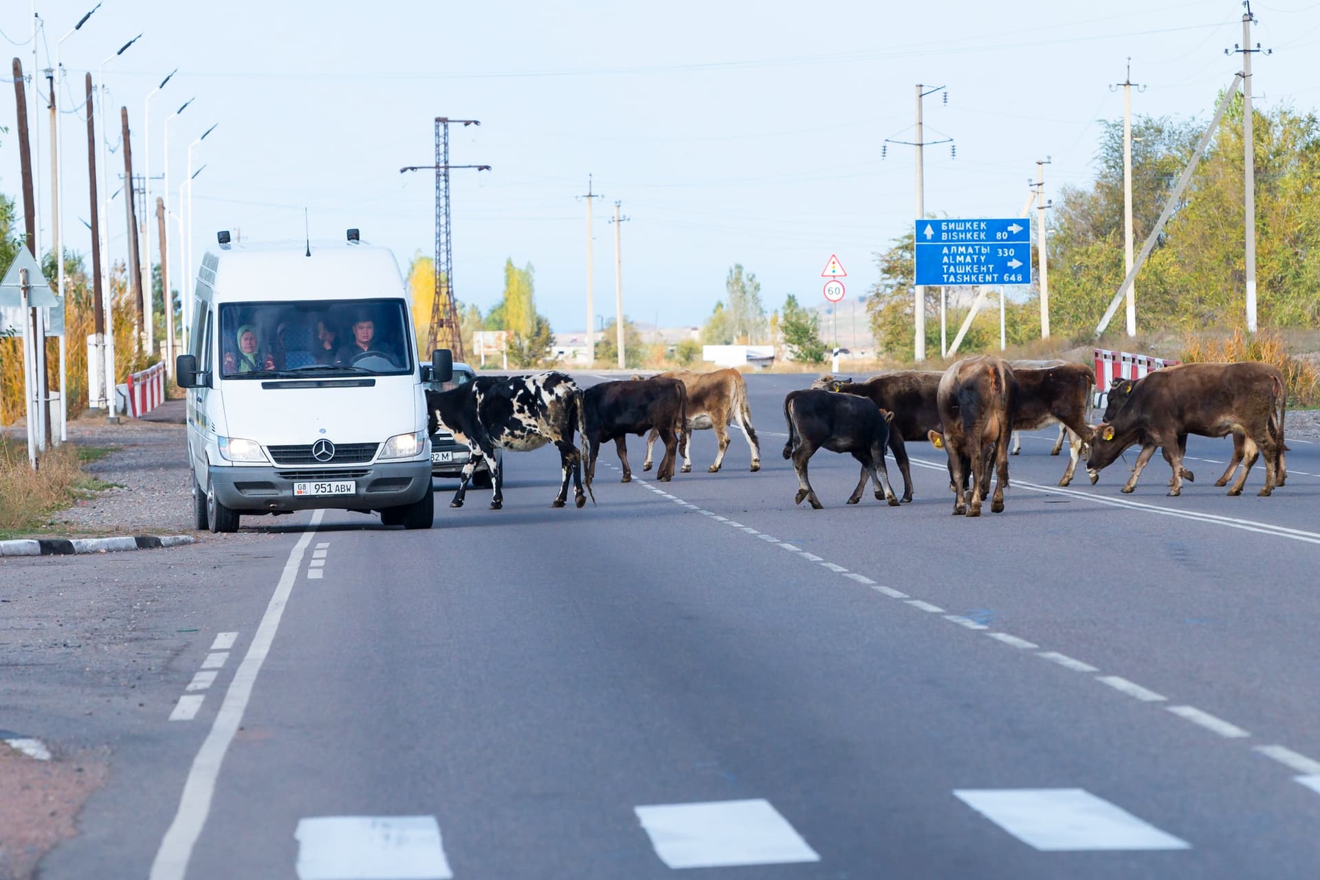 Getting Around Kyrgyzstan: Our Tips