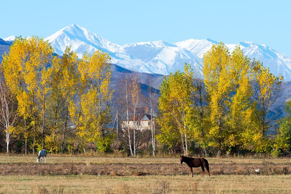 The best one-day hikes near Bishkek