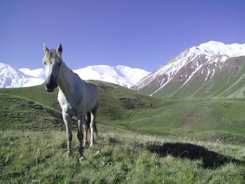 The three highest summits of Kyrgyzstan