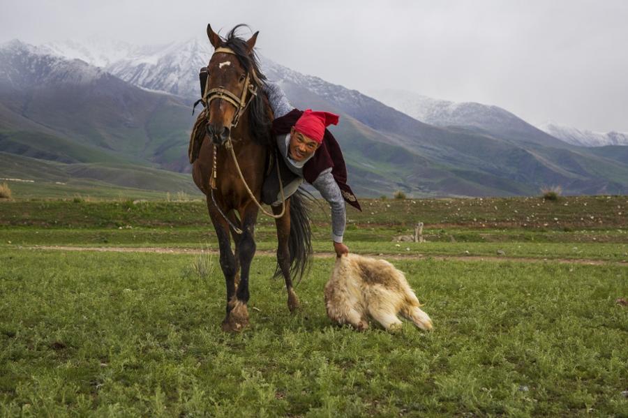 A small guide to the Kyrgyz Horse